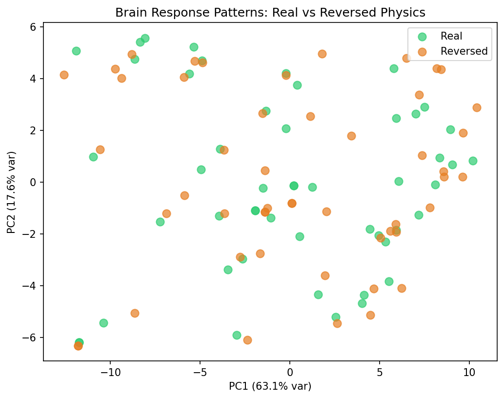 PCA scatter — Brain response patterns