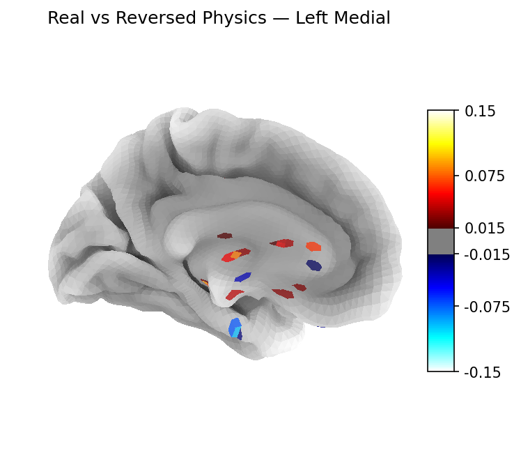 Classifier weights — Left medial
