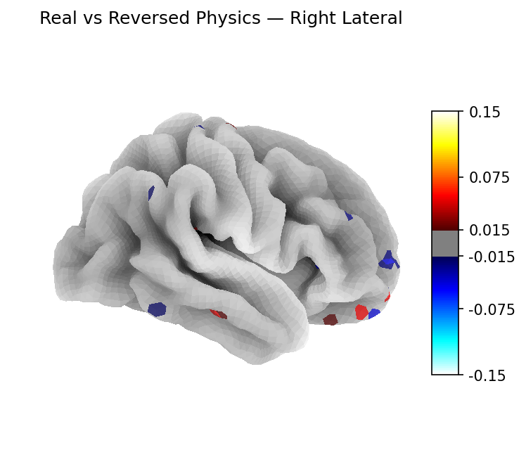 Classifier weights — Right lateral