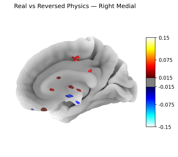 Classifier weights — Right medial